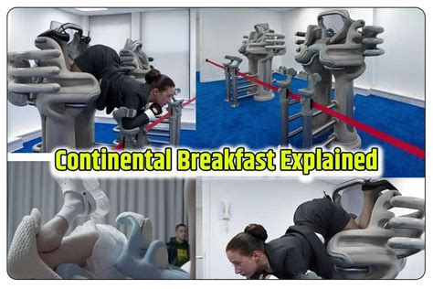 continental breakfast chair explained|The Iconic Continental Breakfast Chair: Design,。